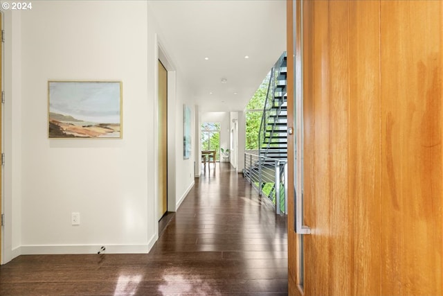 hallway featuring dark hardwood / wood-style floors and floor to ceiling windows