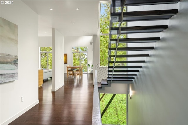 staircase with hardwood / wood-style flooring