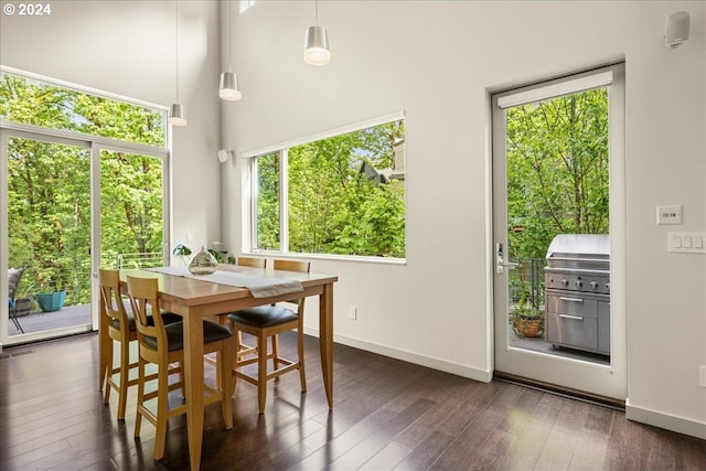 dining area featuring a high ceiling and dark hardwood / wood-style flooring