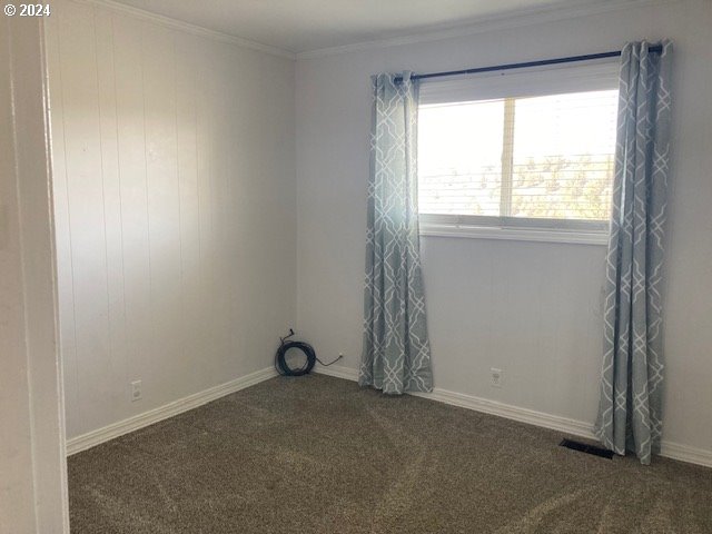 unfurnished room with crown molding and dark colored carpet