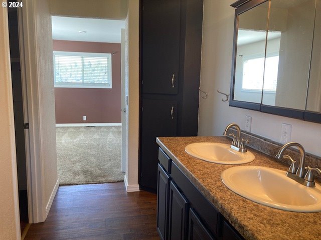 bathroom featuring vanity, hardwood / wood-style flooring, and plenty of natural light