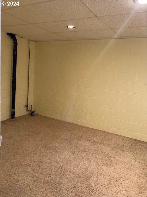 basement featuring carpet