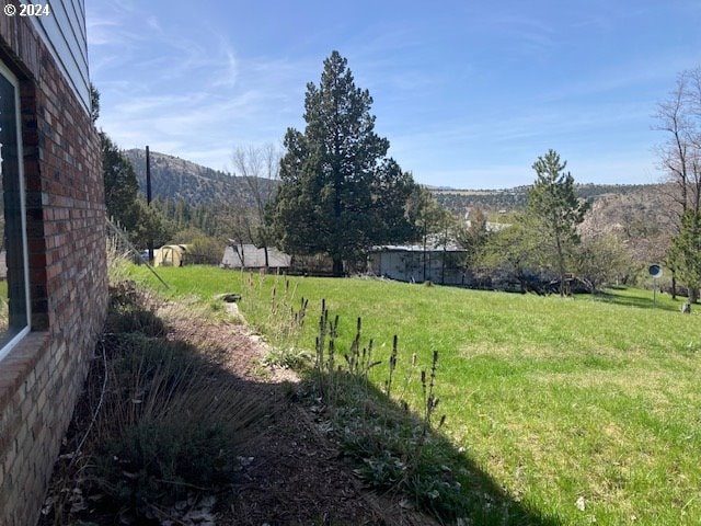 view of yard featuring a mountain view