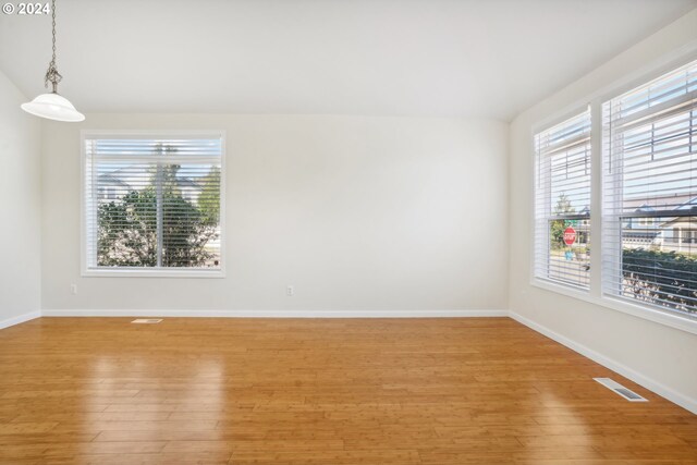 empty room with plenty of natural light and light hardwood / wood-style flooring