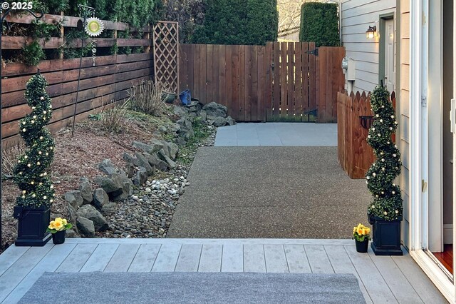 view of yard featuring a patio