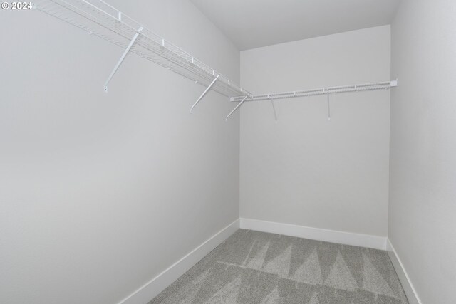 walk in closet featuring carpet floors