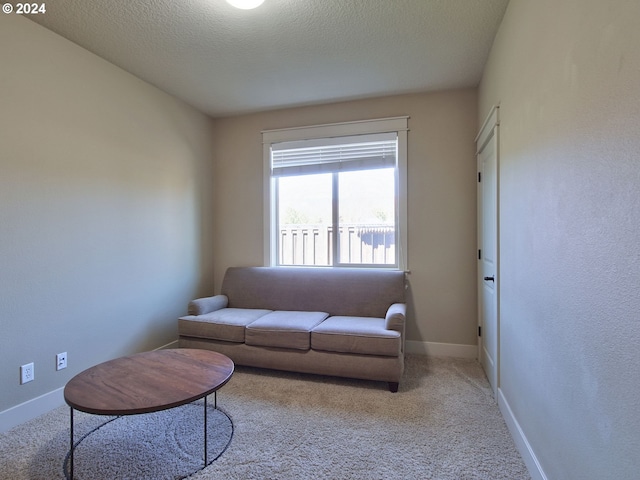 carpeted living room featuring a textured ceiling