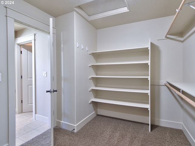 walk in closet with light carpet