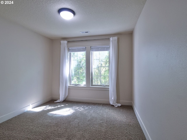 empty room with carpet flooring and a textured ceiling