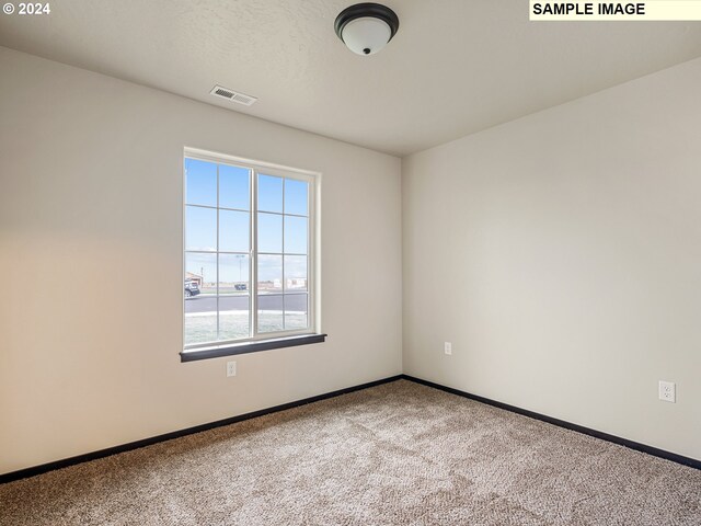 spare room featuring carpet floors