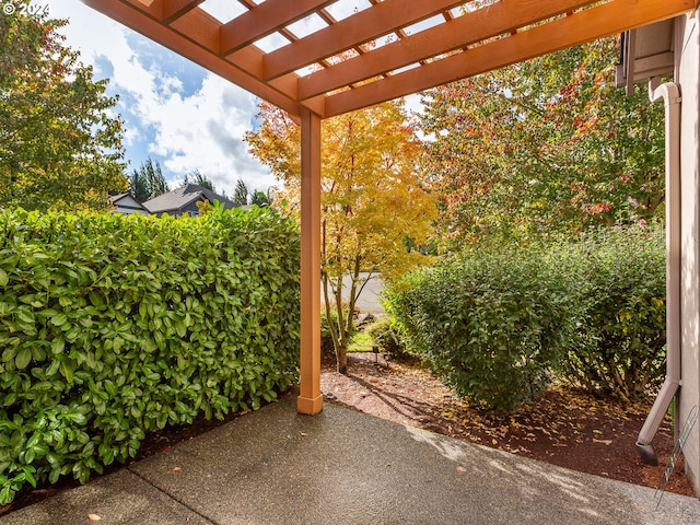 view of patio / terrace featuring a pergola