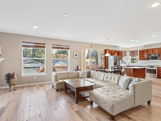 living room featuring light wood-type flooring