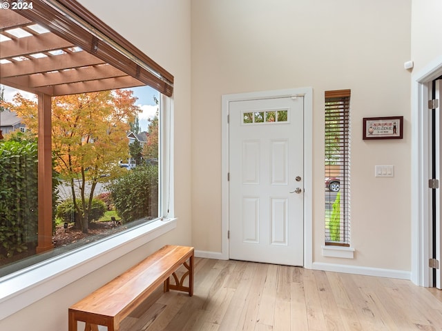 foyer with light hardwood / wood-style floors