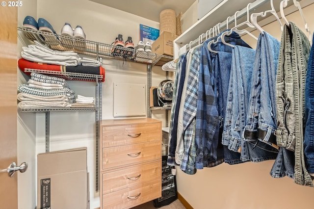 view of walk in closet