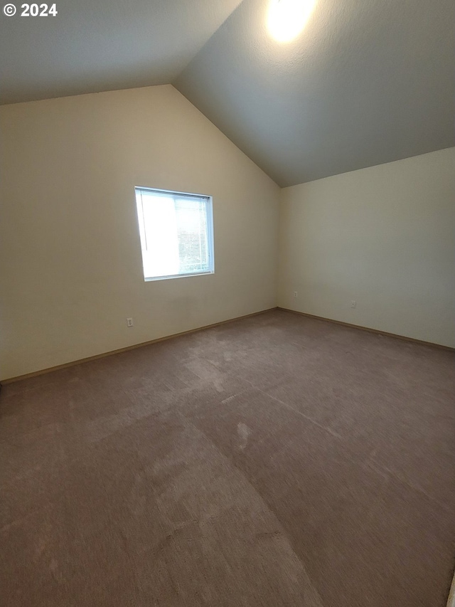 additional living space with carpet and vaulted ceiling