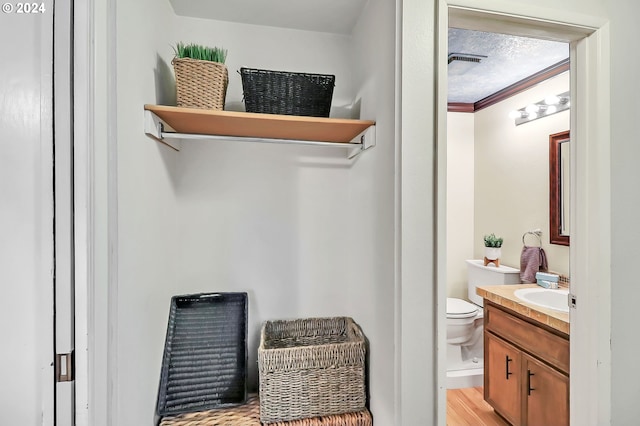 bathroom with vanity, toilet, wood-type flooring, and crown molding