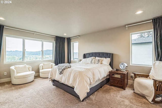 carpeted bedroom featuring a mountain view and a textured ceiling