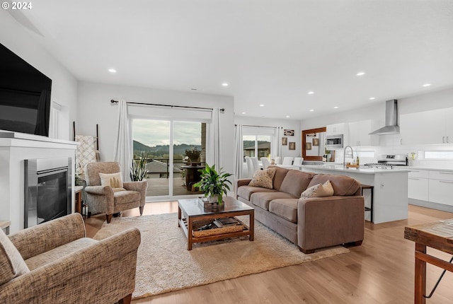 living room with light hardwood / wood-style flooring and sink