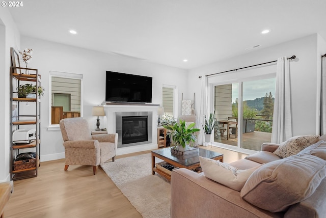 living room featuring light hardwood / wood-style flooring