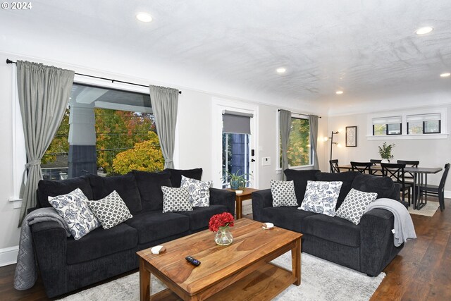 living room with dark wood-type flooring