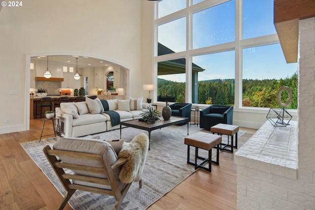 living room with light hardwood / wood-style floors and a high ceiling