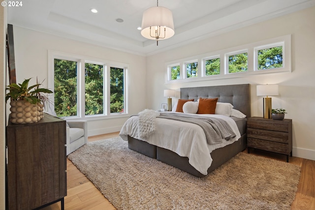 bedroom with multiple windows, a raised ceiling, and light wood-type flooring