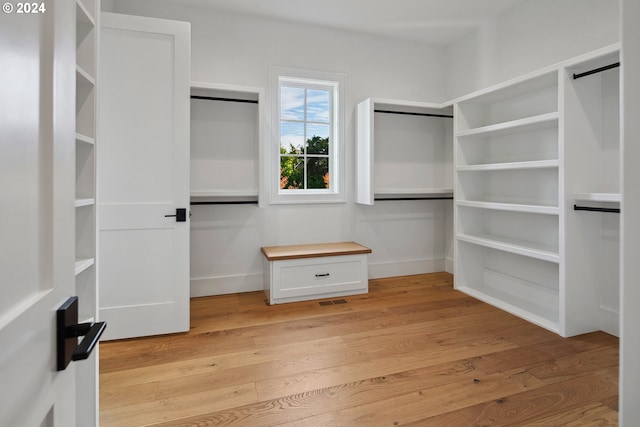 spacious closet featuring light wood-type flooring