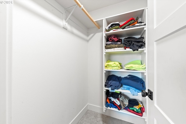 spacious closet with carpet