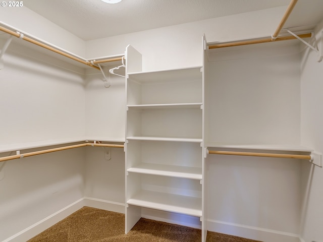 walk in closet featuring carpet floors