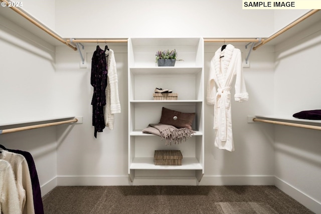 spacious closet with dark colored carpet