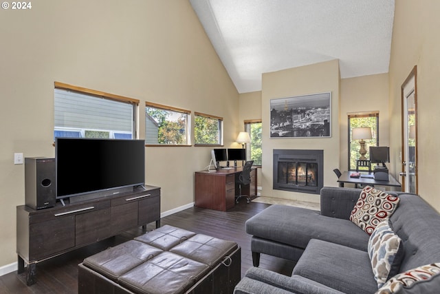 living room featuring high vaulted ceiling and dark hardwood / wood-style flooring