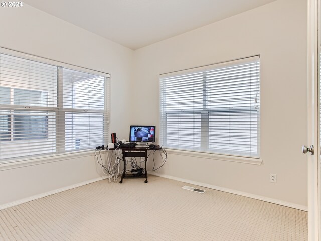 carpeted home office featuring a healthy amount of sunlight