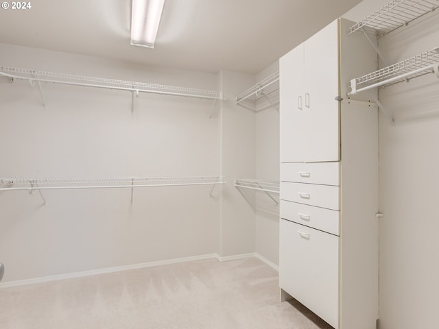 spacious closet featuring light colored carpet