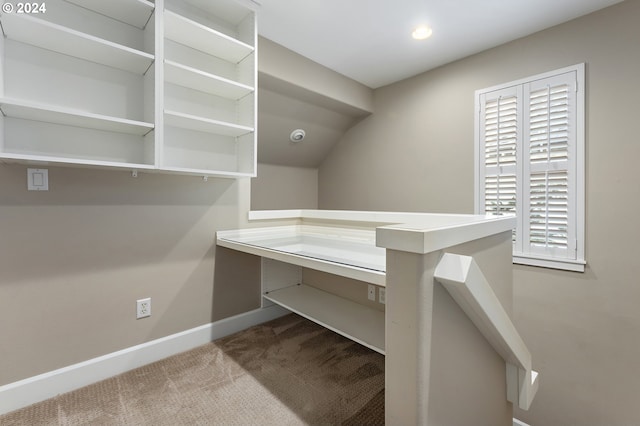 spacious closet featuring carpet