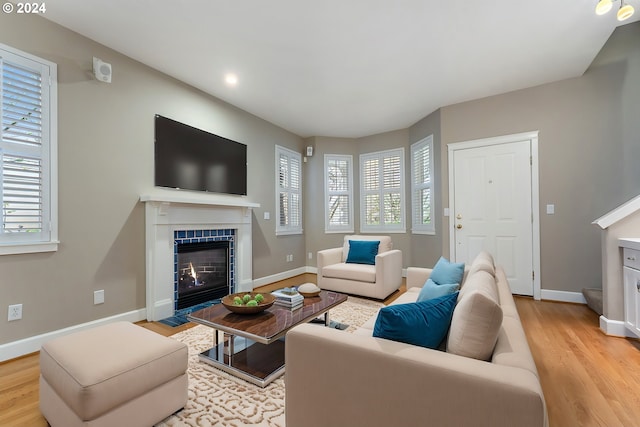 living room featuring plenty of natural light and light hardwood / wood-style floors