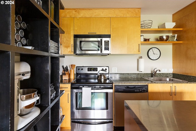 kitchen featuring stainless steel appliances and sink