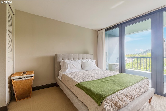 bedroom with a closet, carpet flooring, and access to exterior