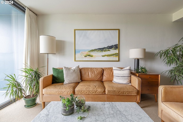 view of carpeted living room