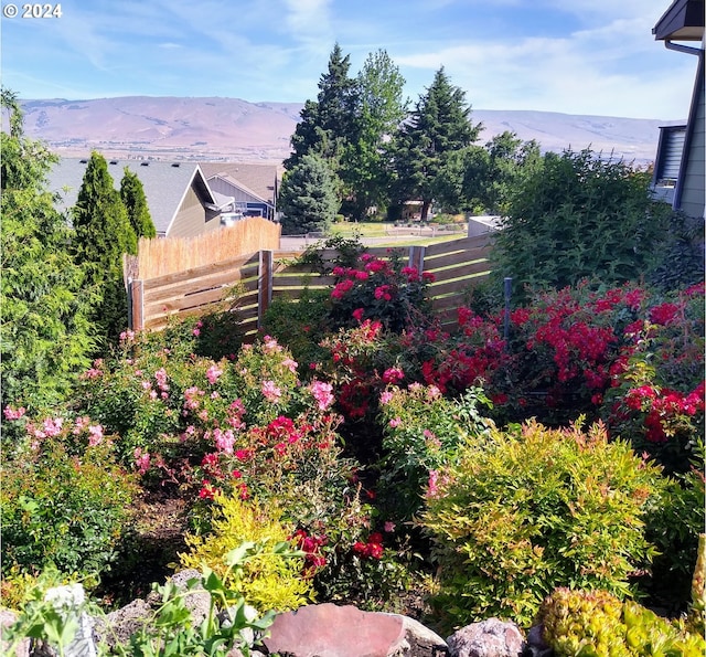 view of yard with a mountain view