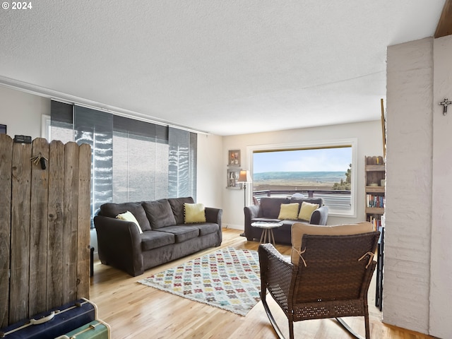 living room with a textured ceiling and light hardwood / wood-style flooring