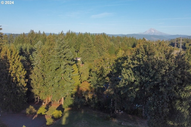 bird's eye view featuring a mountain view