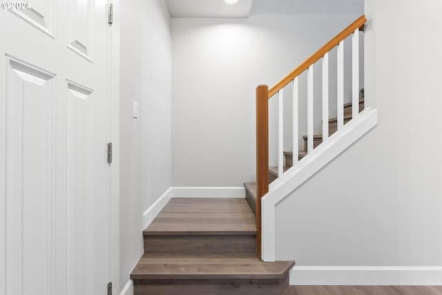 staircase with wood-type flooring