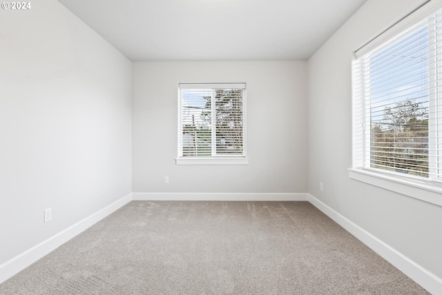 unfurnished room with carpet and plenty of natural light