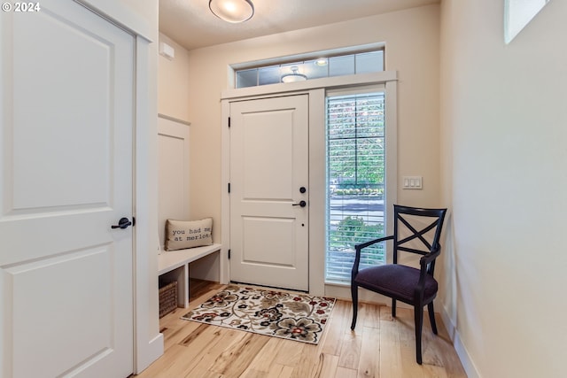 foyer entrance with light hardwood / wood-style flooring