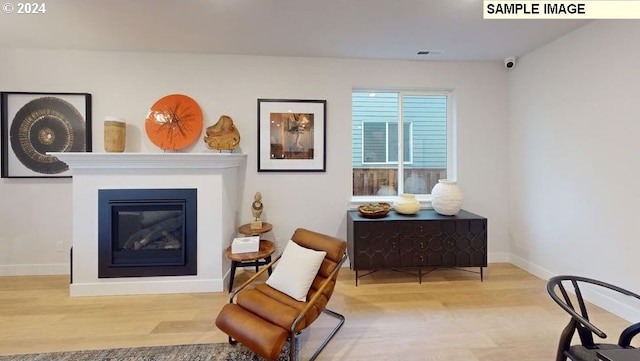 living area with hardwood / wood-style floors