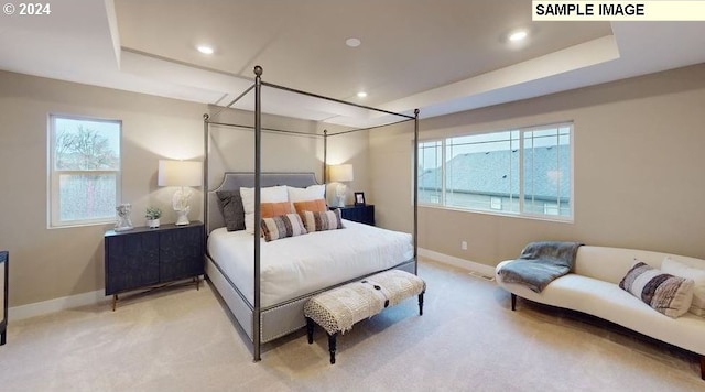 carpeted bedroom featuring multiple windows and a tray ceiling