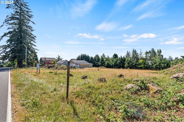 view of yard with a rural view