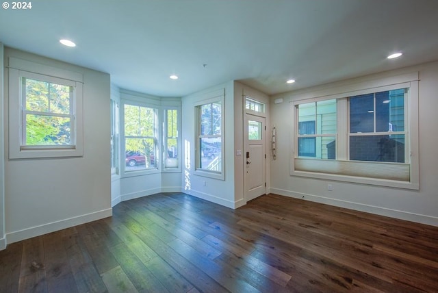 doorway with dark wood-type flooring and a wealth of natural light