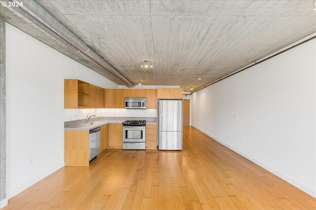 kitchen featuring sink, stainless steel appliances, and light hardwood / wood-style flooring