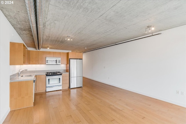 kitchen with light hardwood / wood-style floors, sink, and stainless steel appliances